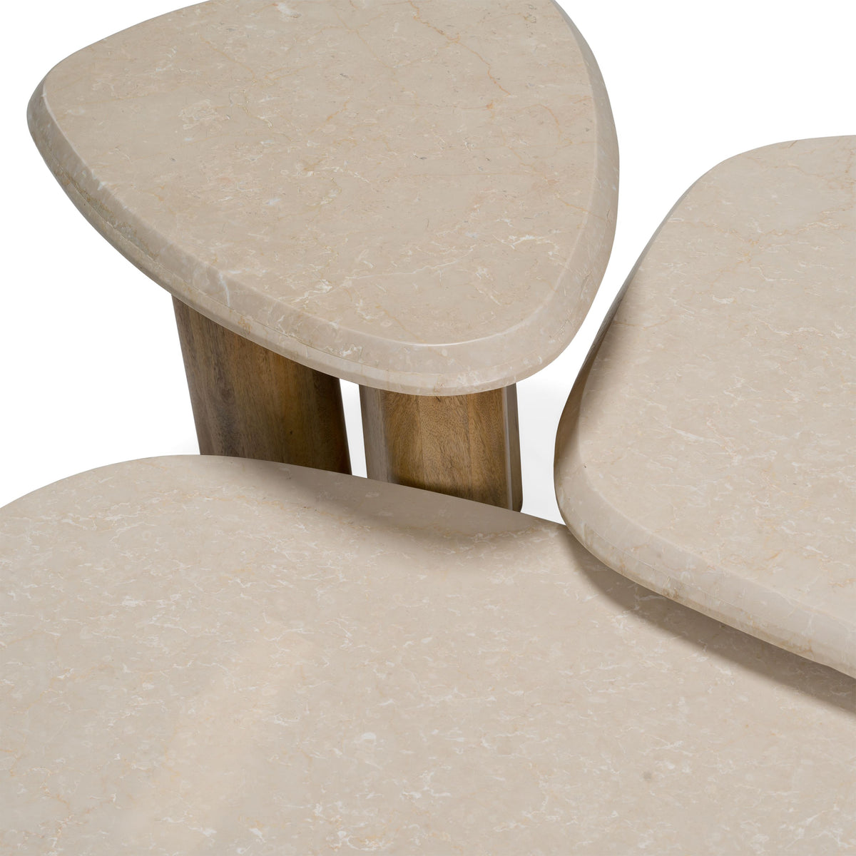 Marble Nesting Coffee Table Set, Freeform Mango Wood and Marble Tables
